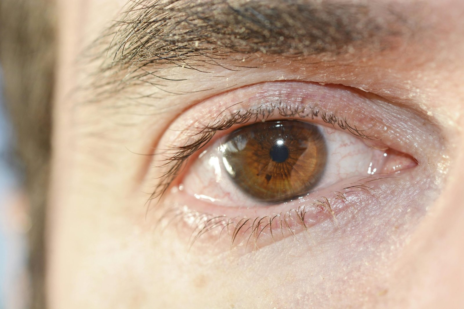 Health Monitoring Features